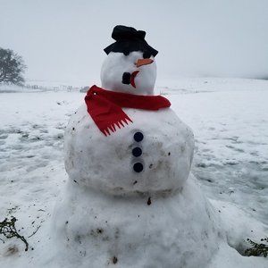 Meet your Posher, Kaycee